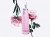 Givenchy Live Irresistible Blossom Crush, фото 3