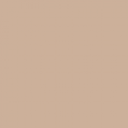 015C - Neutral Vanilla Beige