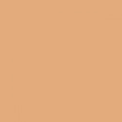 N-040 Neutral Beige