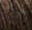 6/17 - Blue Ash Dark Blonde