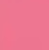 P2 - Rose No Taboo
