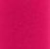 313 - Rose Fulminante