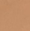 5 - Deep Tan