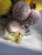 Versace Yellow Diamond, 5
