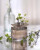 Chloe Eau De Parfum, 6