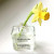 Chanel Egoiste Platinum Pour Homme, 3