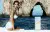 Dolce & Gabbana Light Blue Escape To Panarea Pour Femme, 2
