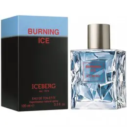 Iceberg  Burning Ice