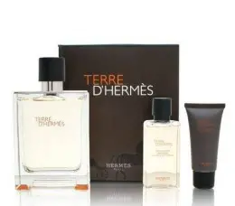 Подарочный набор Hermes Terre D'Hermes 100 мл
