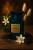 Tom Ford Neroli Portofino, 2