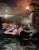 Agent Provocateur Signature, 2