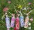 Cacharel Noa Le Jardin Collection, 2