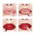Палетка для макияжа губ Maybelline New York Color Drama Lip Contour Palette, фото 3