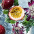 Guerlain Aqua Allegoria Passiflora, 3