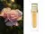 Сыворотка-нектар для лица Dior Prestige Nectar Serum, фото 1