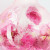 Гоммаж-эксфолиант для лица Lancome Rose Sugar Scrub, 6