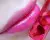 Блеск-тинт для губ Lancome Jelly Flower Tint, фото 2