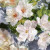 Guerlain Aqua Allegoria Flora Cherrysia, 6