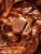 Comme Des Garcons Copper, 5