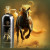 Montale Arabians Tonka, 4