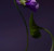 Olfactive Studio Violet Shot, 3