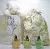 M. Micallef Tendre Douceur, 2