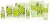 Гель для душа Maurer & Wirtz 4711 Aqua Colognia Lime & Nutmeg, 2