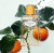 Prada Infusion De Mandarine, 2