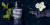 Jean Paul Gaultier Le Male In the Navy, 3