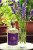 Maurer & Wirtz 4711 Acqua Colonia Lavender & Thyme, 4