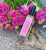 Histoires de Parfums Vert Pivoine, 2