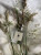 Jo Malone London Wood Sage & Sea Salt, 2