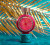 Haute Fragrance Company Golden Fever, 3