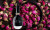 Blumarine Dange-Rose, фото 2