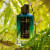 Mancera Aoud Blue Notes, 3