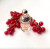 Guerlain Aqua Allegoria Forte Rosa Rossa, 6