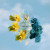 Marc Jacobs Daisy Love Skies, 3