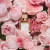 Maison Francis Kurkdjian A La Rose, 4