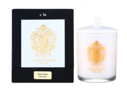Парфюмированная свеча Tiziana Terenzi Spicy Snow
