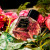 Vertus Oriental Rose, фото 3