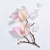Lancome Magnolia Rosae, 4