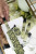 Diptyque Venise, 1