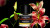 Frederic Malle Carnal Flower, фото 4