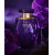 Victoria's Secret Very Sexy Orchid, 4