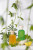 Bois 1920 Cannabis Fruttata, 6