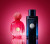 Antonio Banderas The Icon Eau de Parfum For Women, фото 2