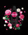 Шампунь для волос Syoss Color Tsubaki Blossom Shampoo, фото 3