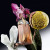 Mugler Alien Goddess Supra Florale, фото 2