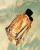 Michael Kors Gorgeous, фото 2