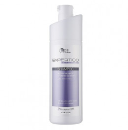 Шампунь для волос Tico Professional Expertico Silver Balance Shampoo